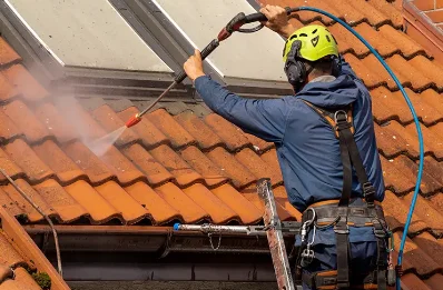 Démoussage et hydrofuge de toiture à Gennetines